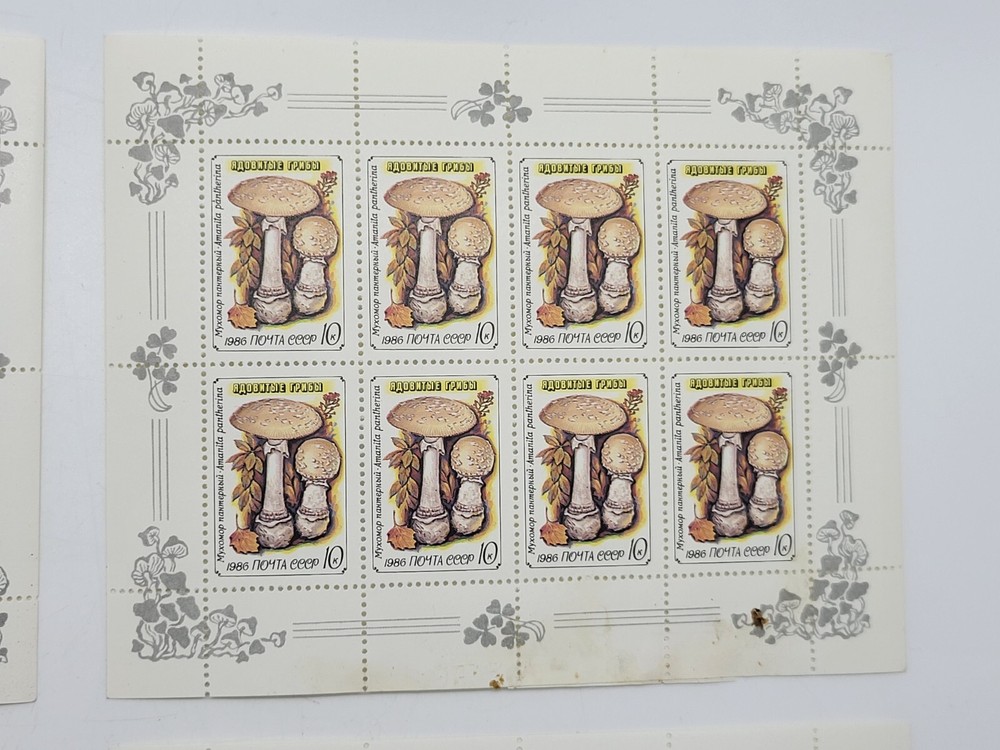 Vintage USSR Postage Stamps Poisonous Mushrooms USSR Various