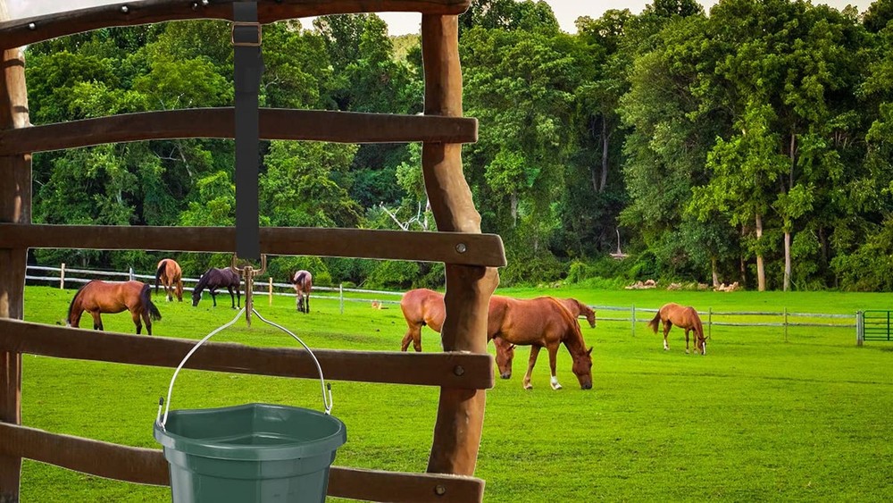Adjustable Nylon Bucket Strap （3 Pack）- for Hay Nets, Water Bucket