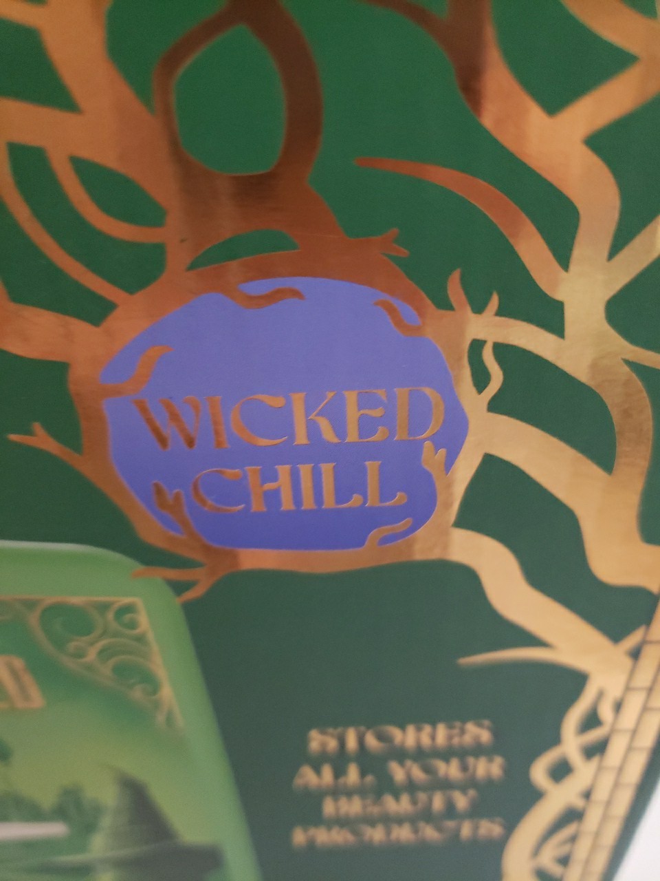 Movie Wicked Chill Beauty Or Snacks Fridge Low Energy Portable Elphaba & Glinda