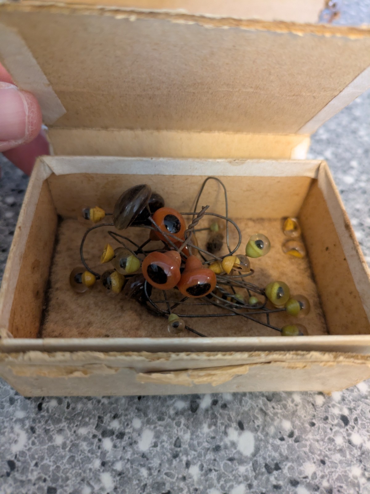 Vintage Lot of Taxidermy Instruments/Tools or Medical Tools