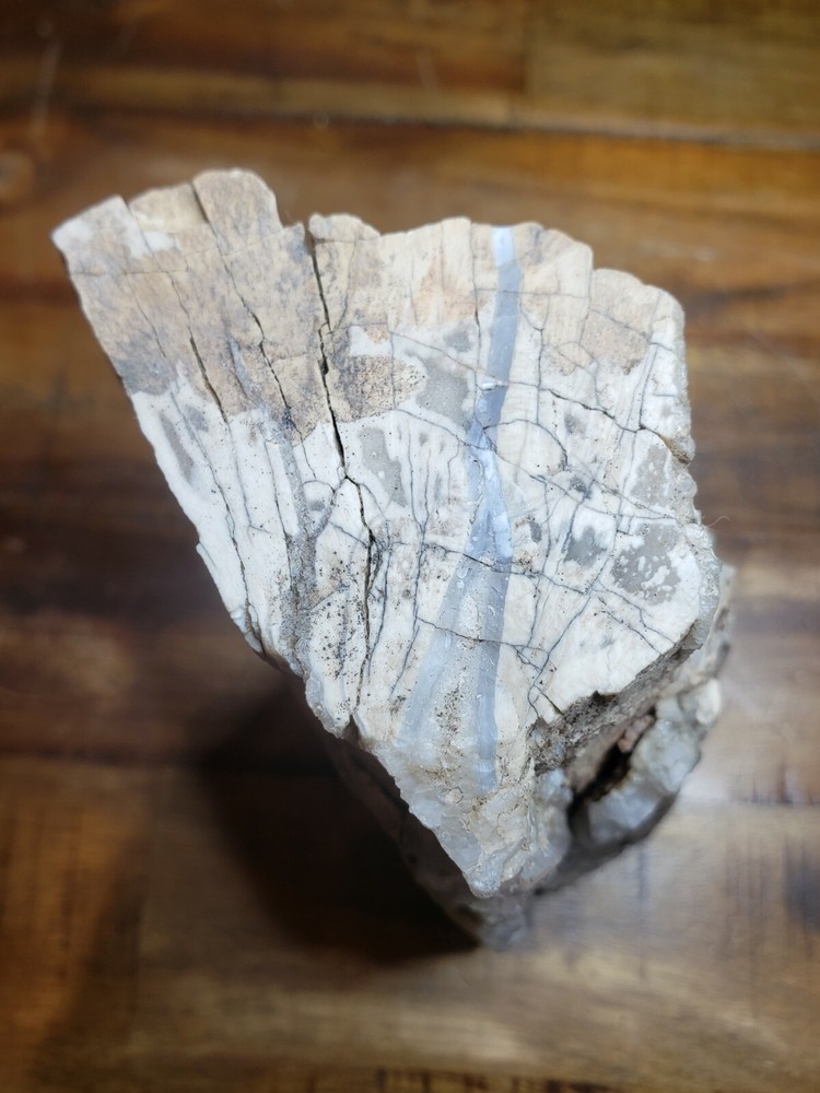 Crystalized Petrified Wood with vien 2.6lbs