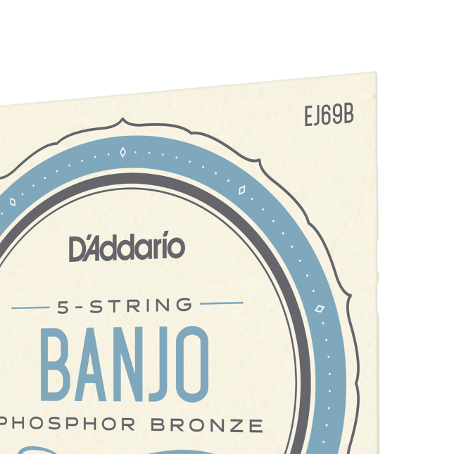 Ball End D'Addario EJ69B 5-String Banjo Strings Phosphor Bronze Light 9-20