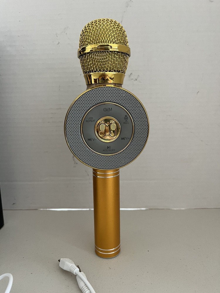 Handheld Ktv WS-668 Karaoke Microphone Plus Voice Controller TESTED WORKING