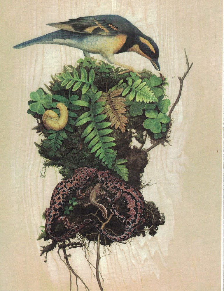 Tiffany Bozic image:  Frame it