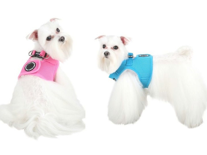 Puppia Mesh Dog Harness Vest No Pull Adjustable Breathable S M L XL XXL 3L AH305