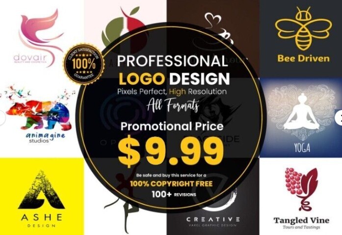 Logo design + unlimited changes + Source file in any Format