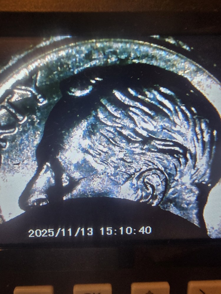 2014-D Roosevelt Dime DDO & Full Bands