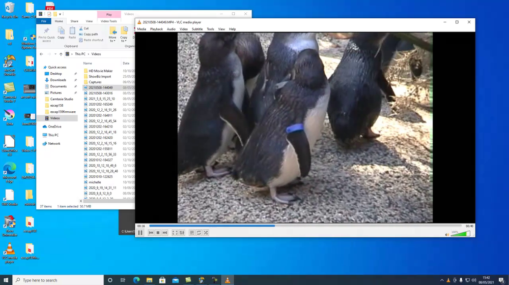 Firewire MiniDV Video Capture PCI-E Card for Windows 11 / 10 Desktop PC.