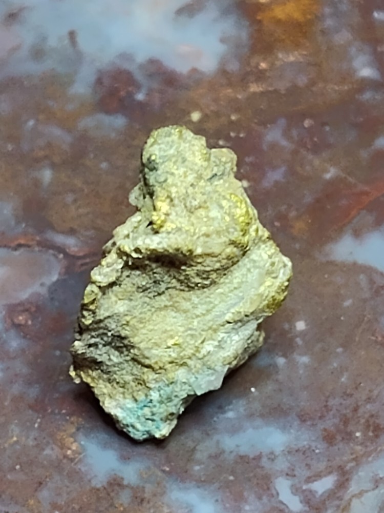 california gold nugget