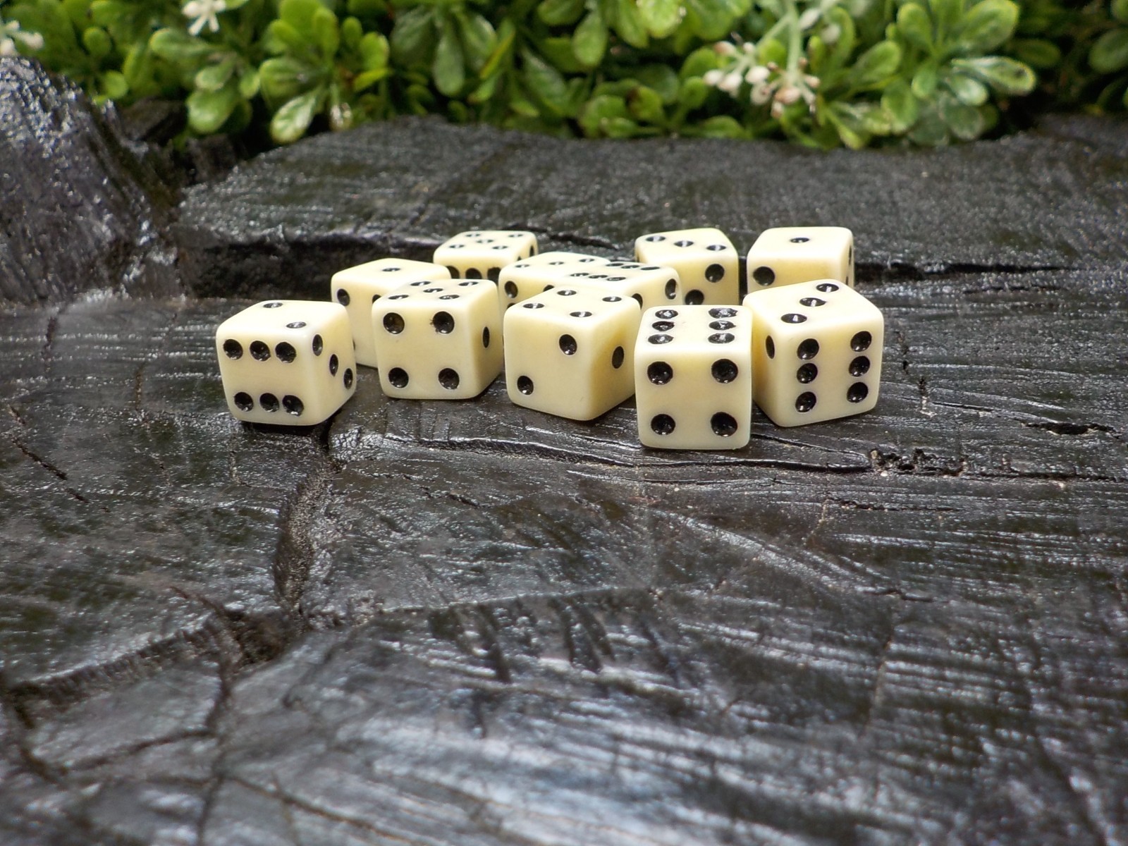 Old Rare Vintage Antique Civil War Relic Bone Dice Extremely Rare with Free Case