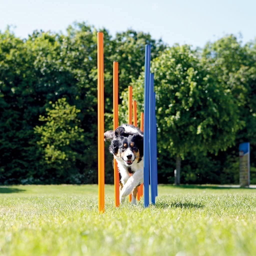 Portable 12 Weave Poles Agility Training Equipment for Dog Exercise Outdoors