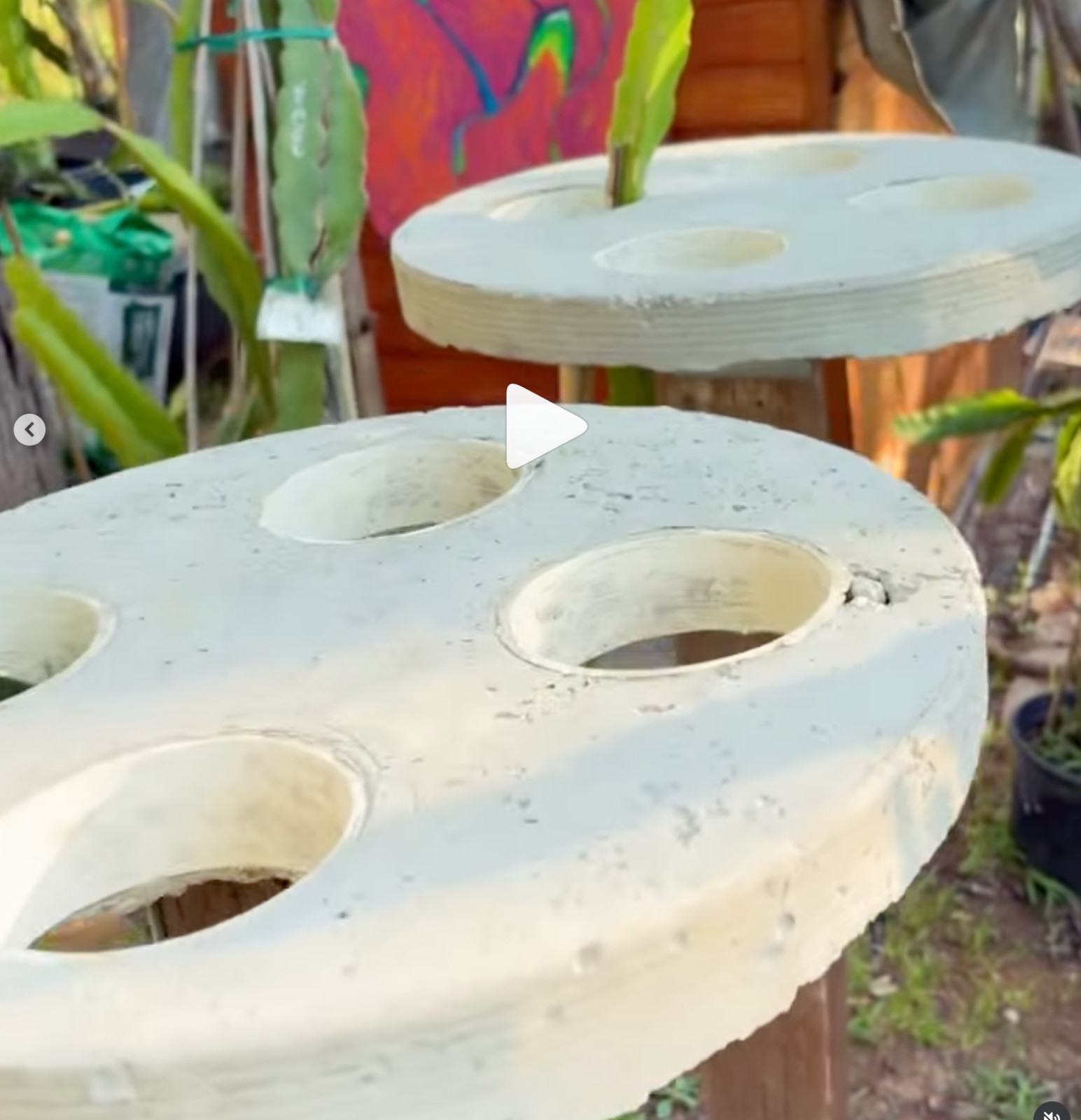 Dragon Fruit Trellis Topper with FREE LED SOLAR LIGHT Screw Direct to 4x4 Post