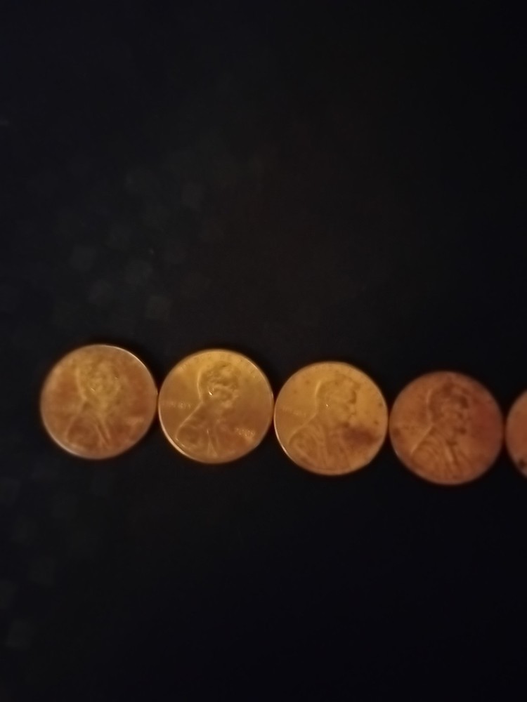 Lincoln Professional Life
