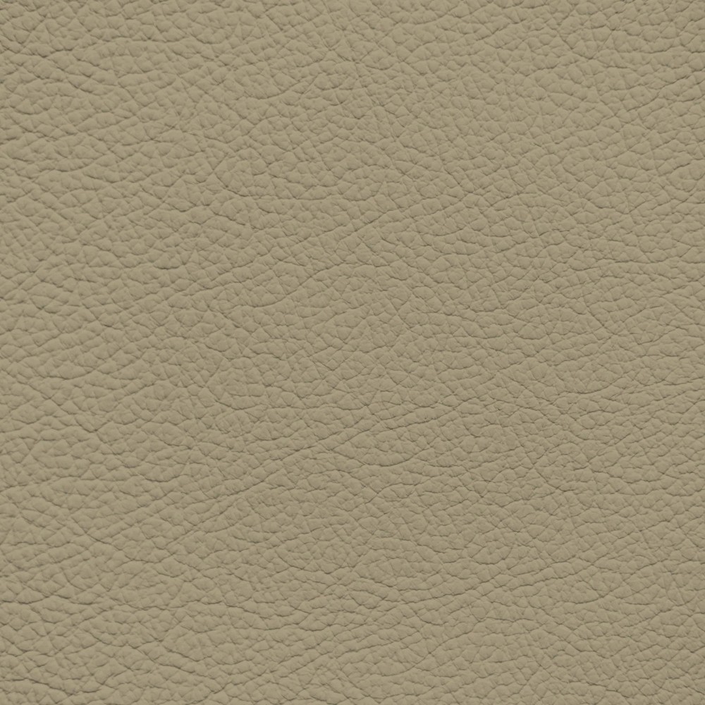 GM Light Biscuit Leather Dye
