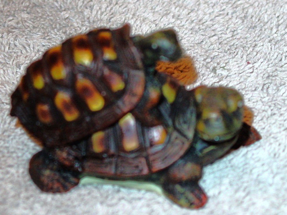 TURTLE TURTLES SET (SET OF 4)