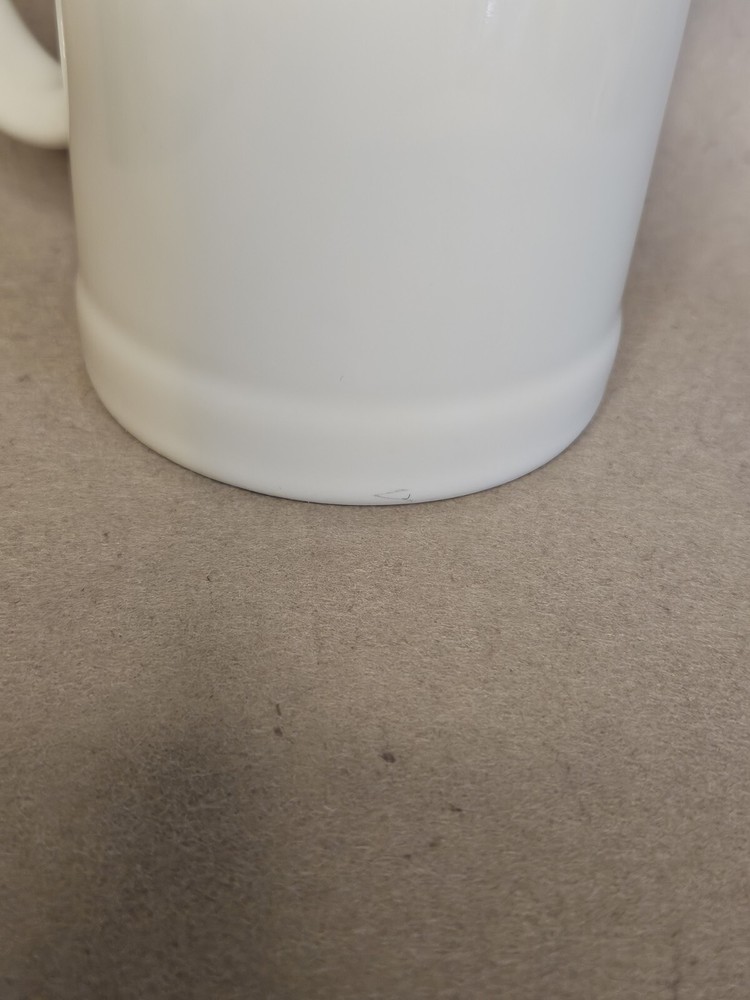 F-15 Service Evaluation Mug Stein Air Force Military