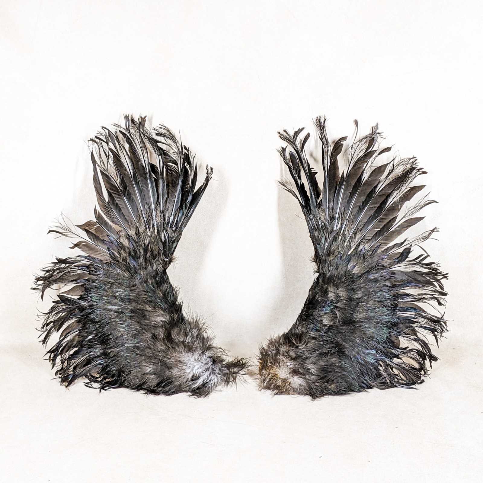 Silkie Chicken Wings Fallen Angel Crafts Bird Feathers pair props costume art