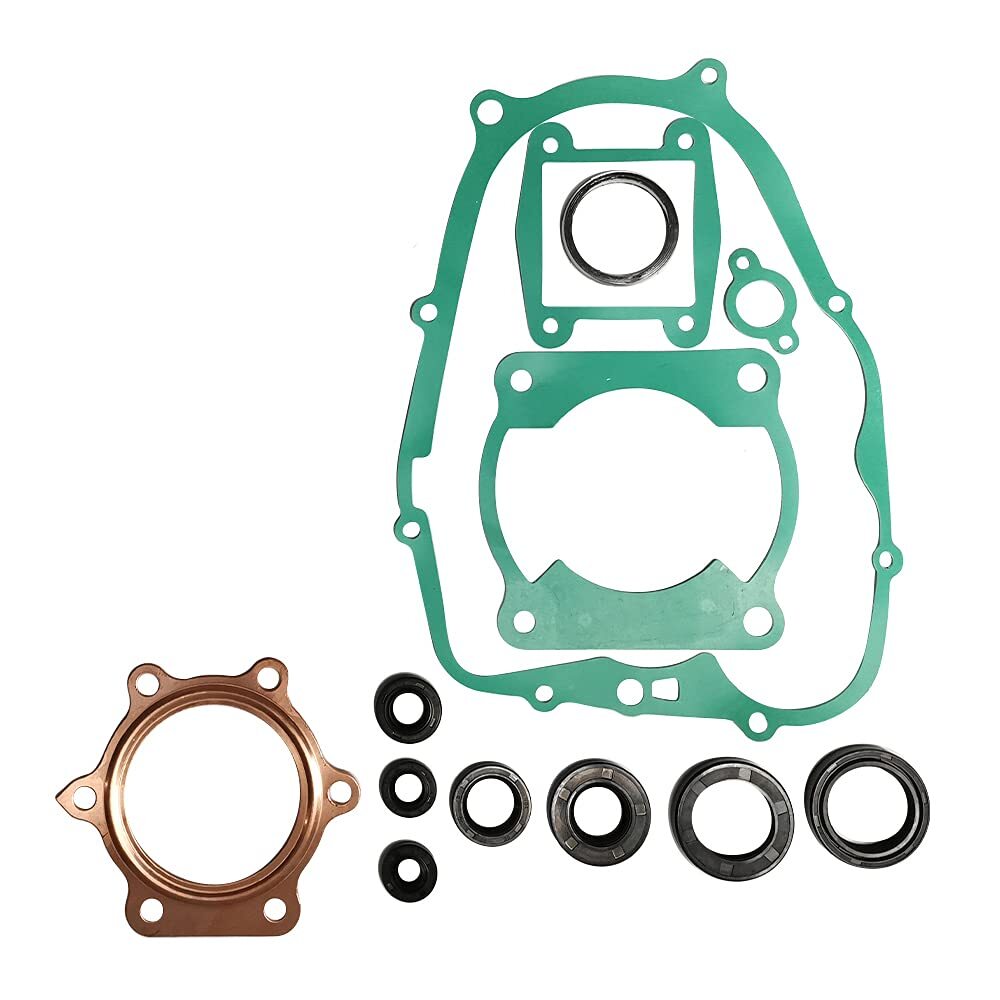 Engine Head Gasket Kit & Oil Seals for Yamaha Blaster 200 YFS200 1988-2006