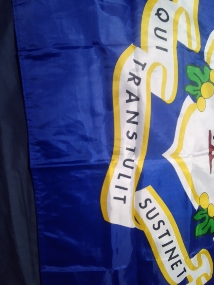Connecticut State Flag