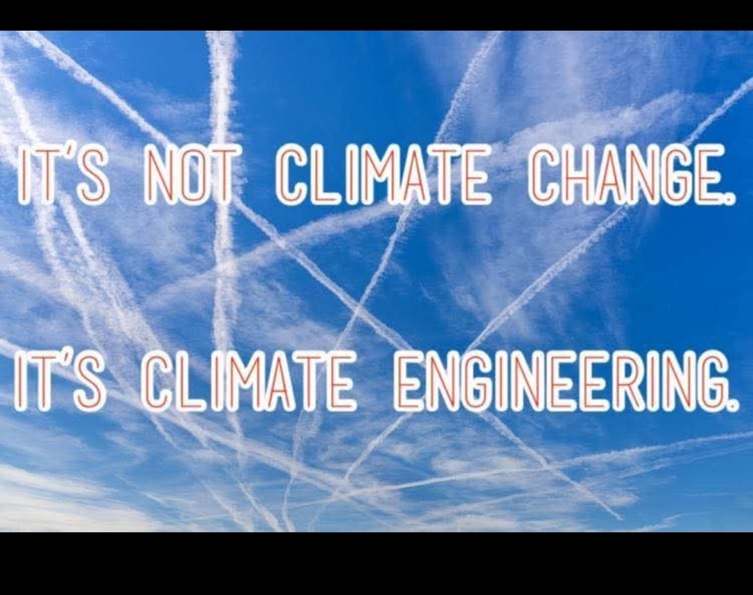 DONALD TRUMP BENJAMIN NETANYAHU STICKER *5* YEAR WARRANTY