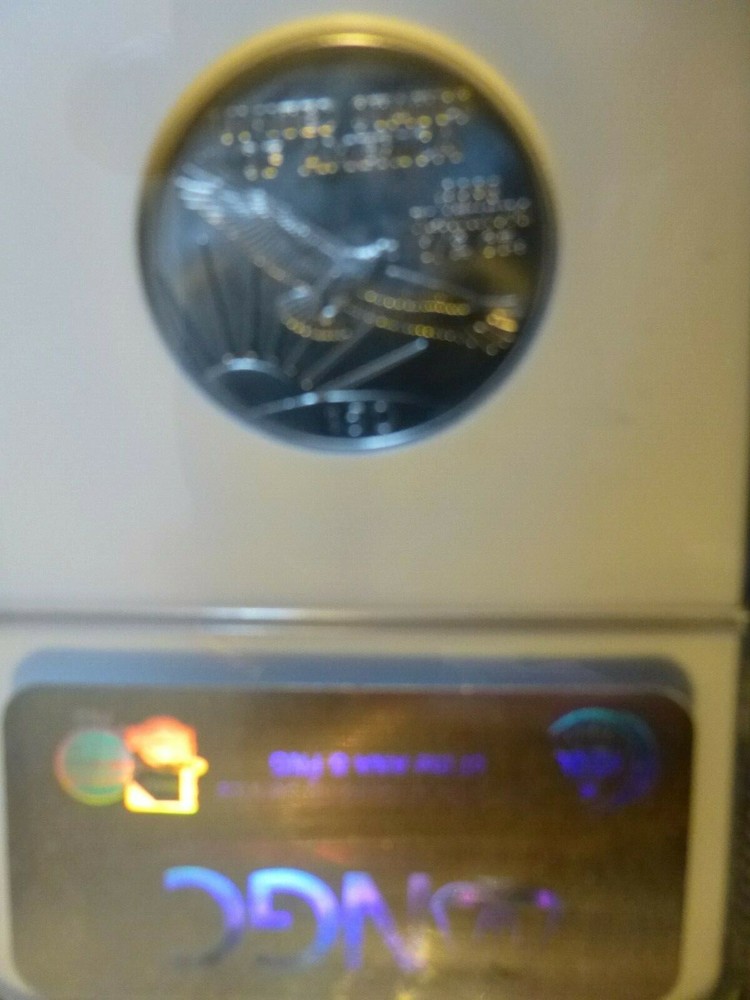 2006 EARLY RELEASE EAGLE 1/2 OUNCE CERTIFIED PLATINUM MS 70