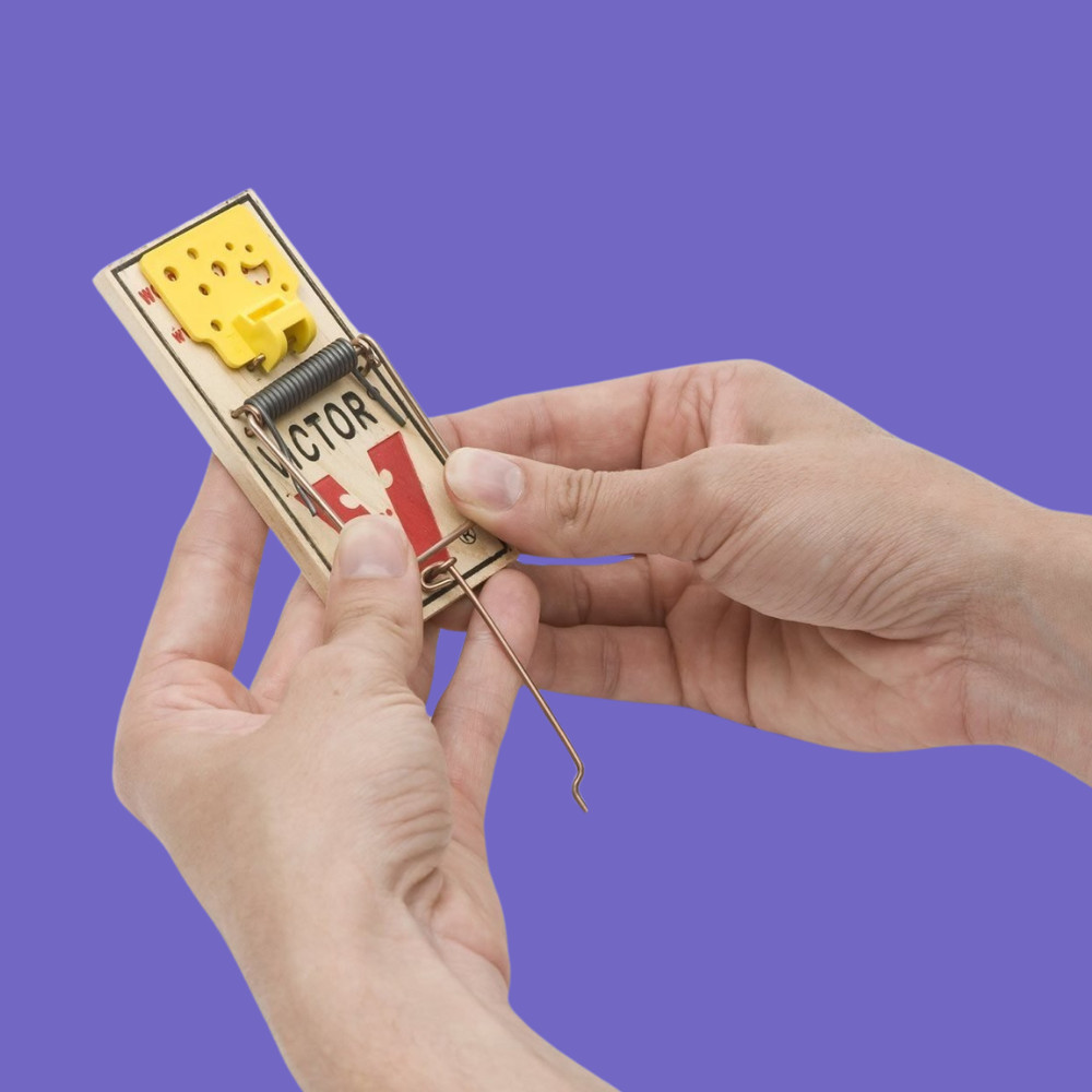 Easy Set Mouse Traps, 2-Pack, - (4 count )