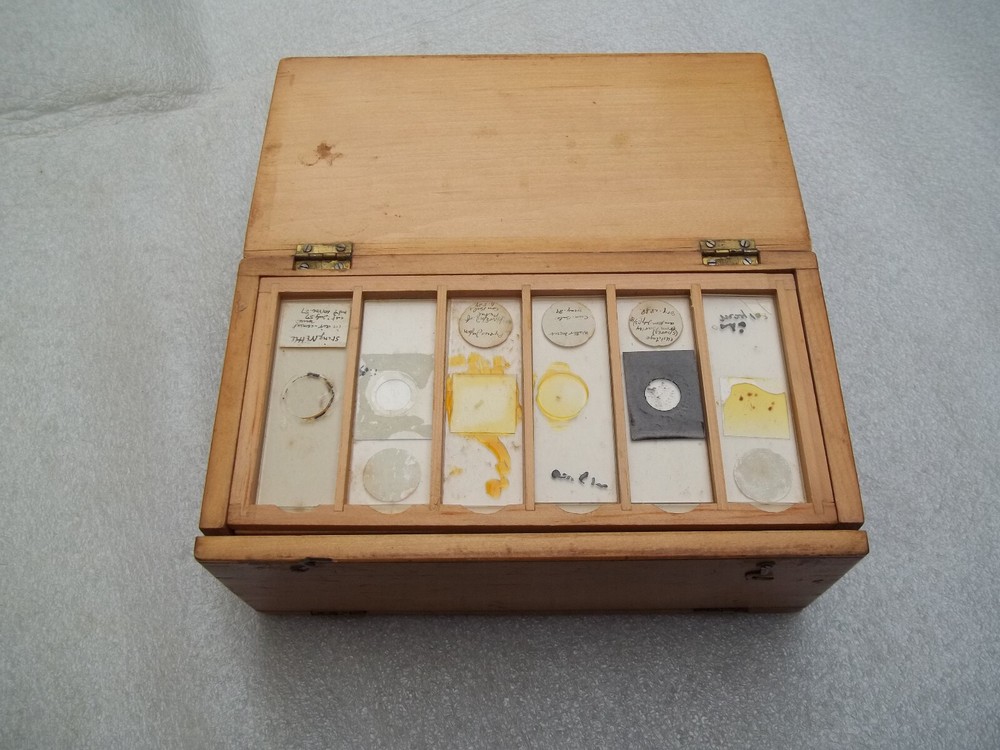 Antique Glass Microscope Slides