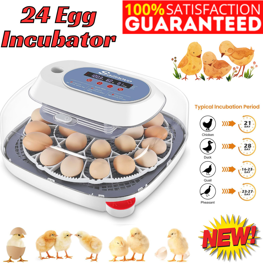24 Egg Incubator for Hatching w/Automatic Egg Turner Temperature Display Gift US