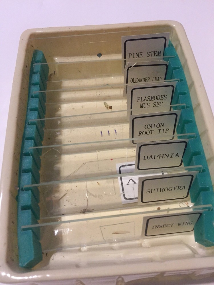 Assorted Plant And Insect Prepared Microscope Slides Glass Slides