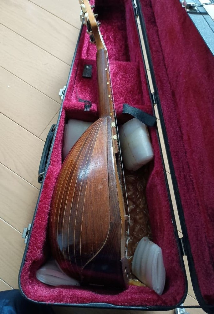 Wooden mandolin 8 strings with hard case