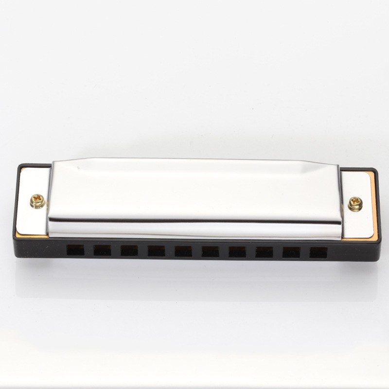 Blues Harmonica 10 Holes For Beginners BJPY