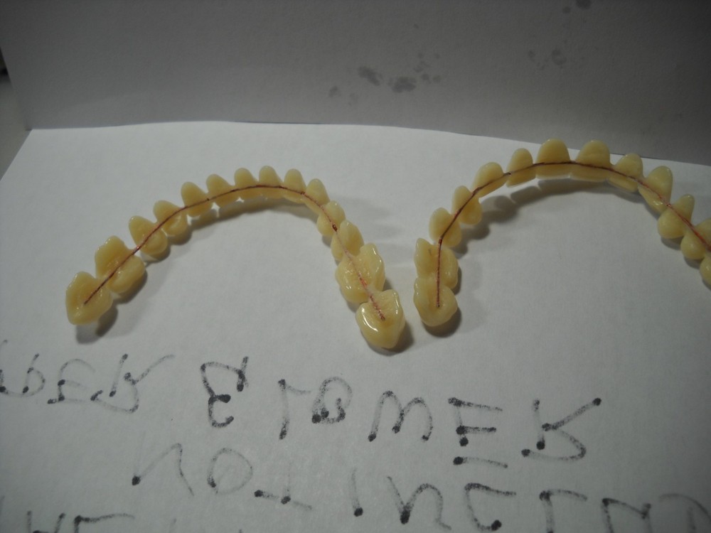 641L Dentures flexable synthatic  rasin teeth color A1 medium on copper wire