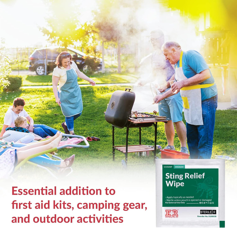 Ever Ready First Aid Sting Relief Wipes, 100 Count…