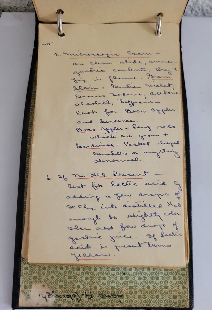 Antigue IRVING-PITT 1904 Student's Notebook #8036