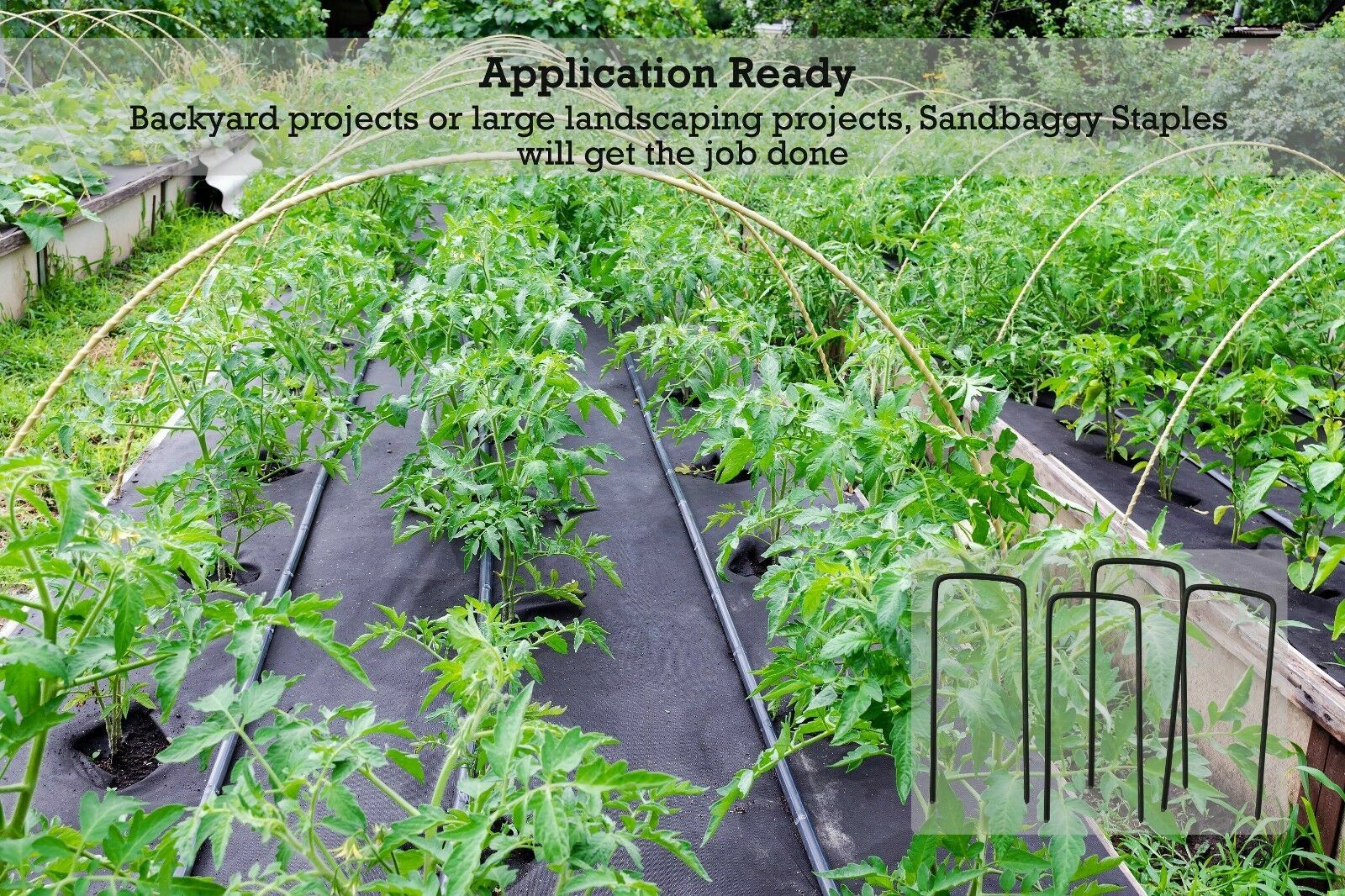 EXTRA WIDE Landscape Staples 8 Inch x 2 Inch ~ SOD Pins Fabric 8 Gauge