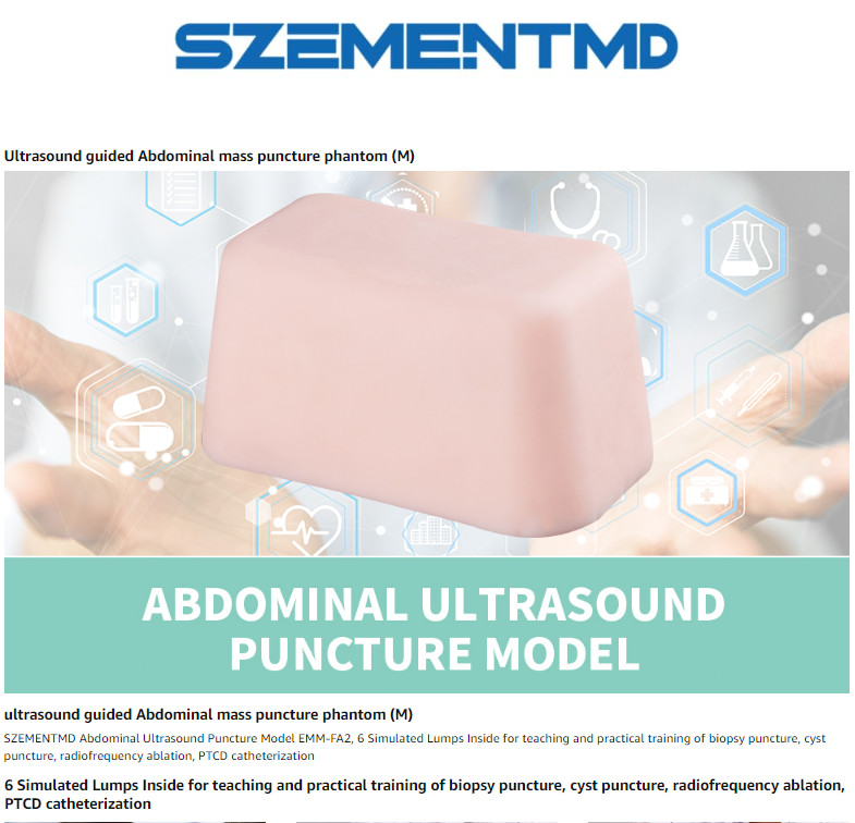 Ultrasound Puncture Abdominal Model Practice Kits Biopsy Puncture Train Teaching