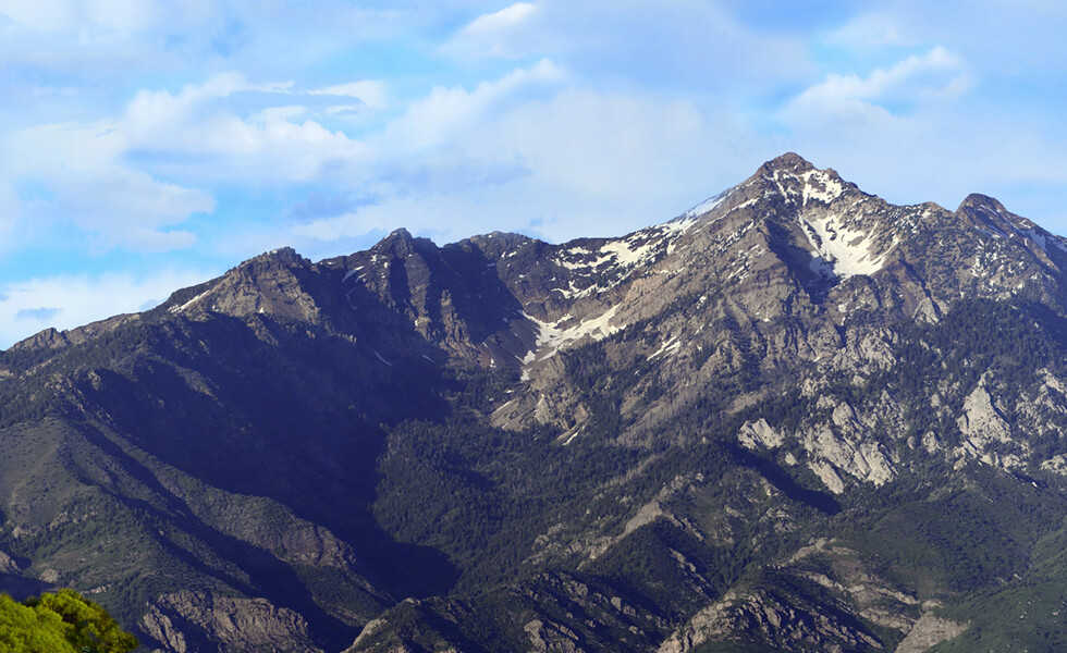 TrainJunkies Mountain City Model Railroad Backdrop