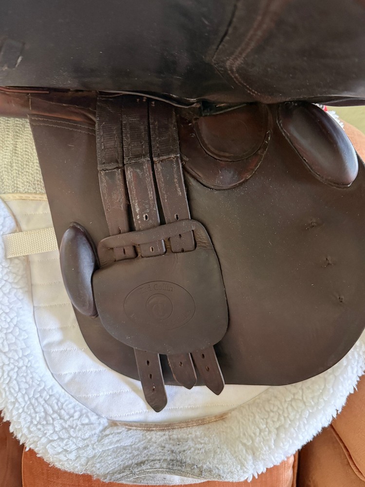 17.5" Tad Coffin A5SR (2016)