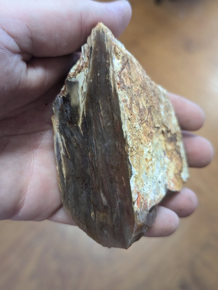 Large Petrified Wood Limb Crystal Cluster