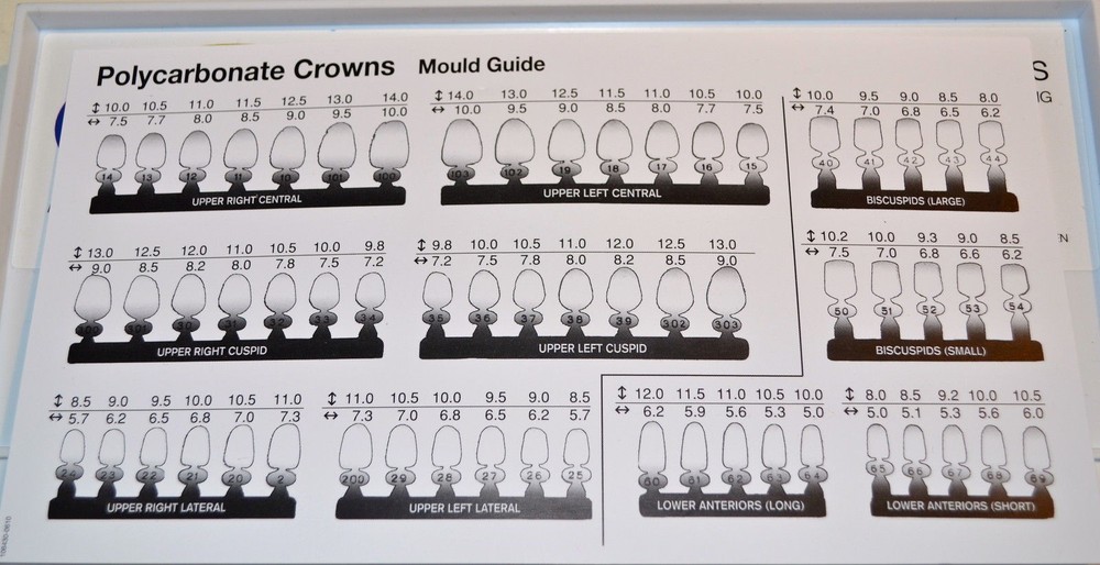 Dental Polycarbonate Temporary Crowns 5 pcs #44