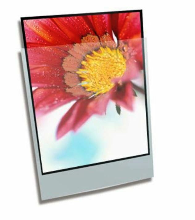 Clear File Archival Photo Print Protectors 8 x 10" (25-Pack) 030025B