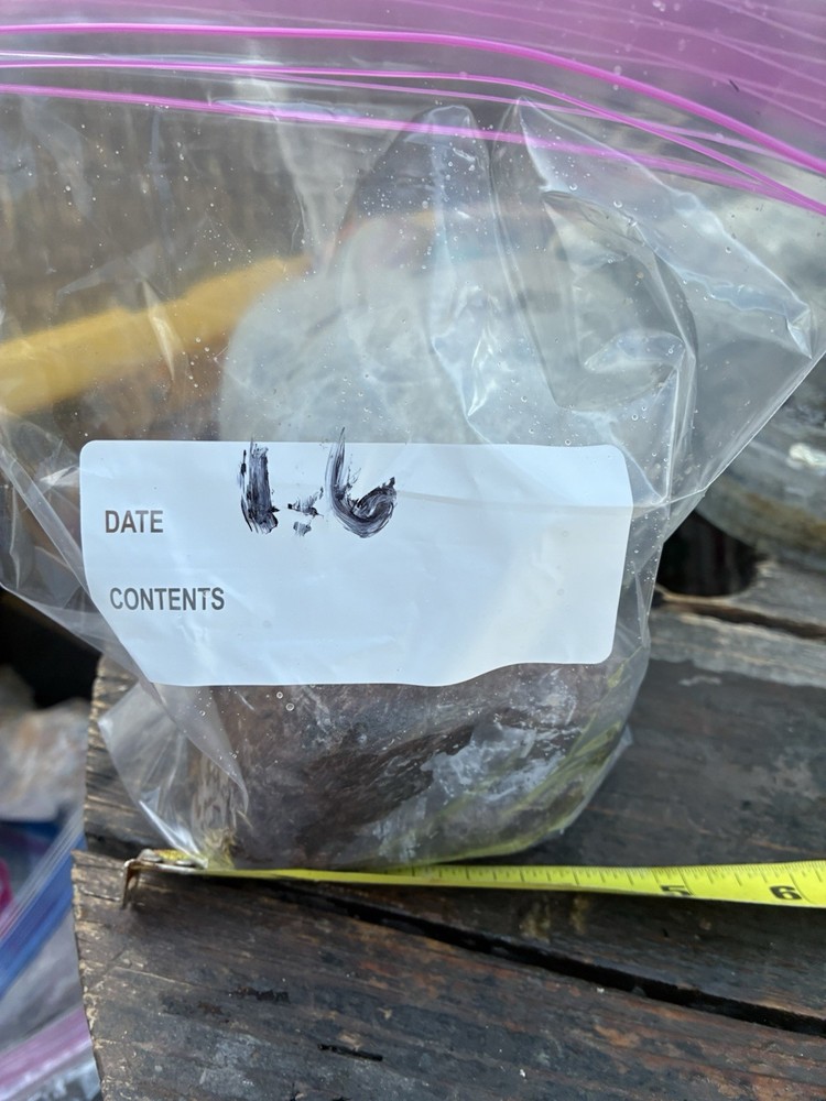 Rocks for Tumbling Lapidary Material Rough