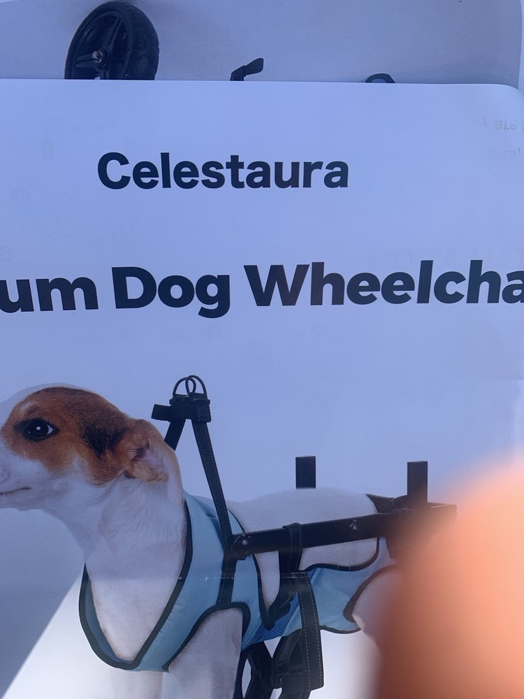 Celestaura Legs walking mobility for animals