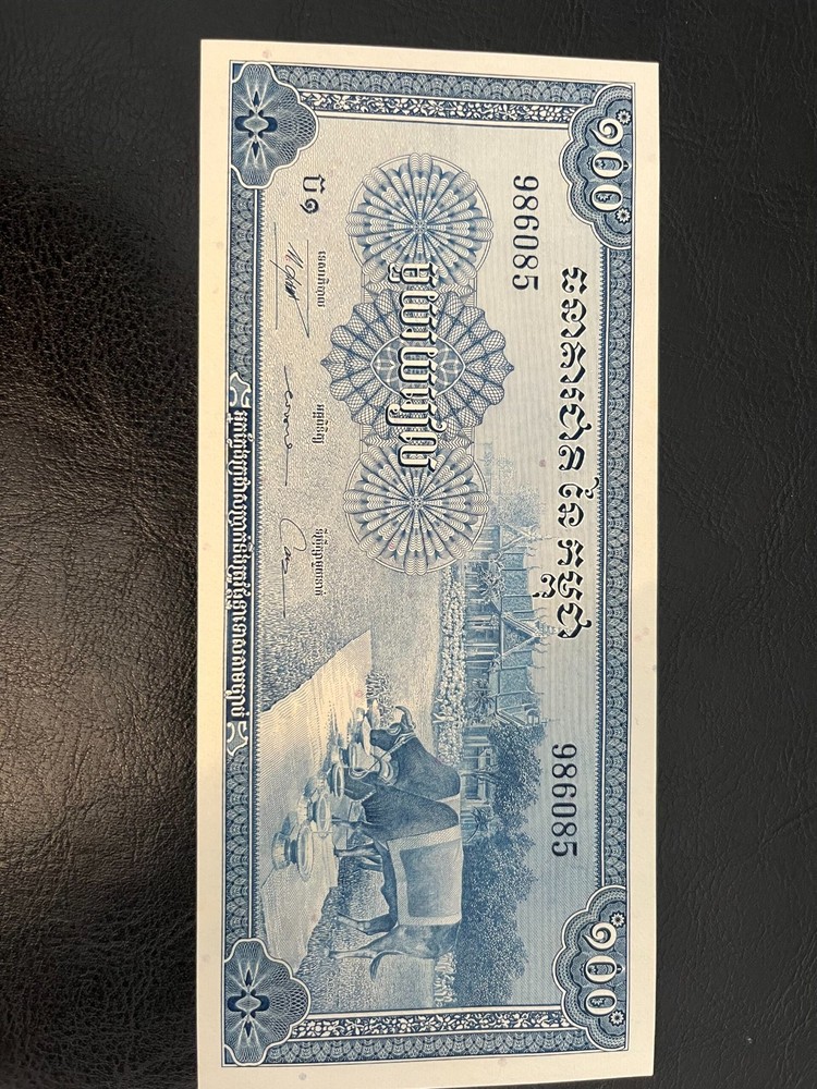Rare 100 Riels Banknote