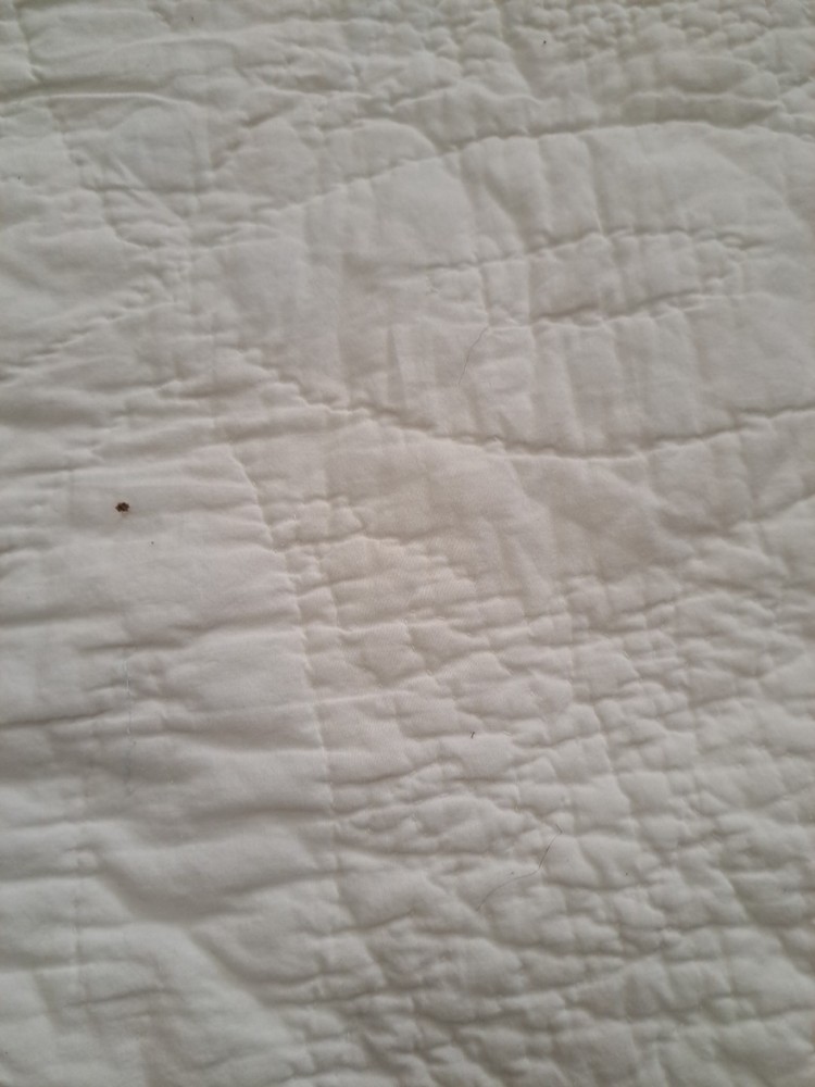White Cotton Quilt With Double Wedding Ring Pattern With Embroidered Flowers