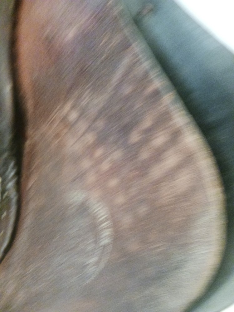 Clinton Northrop Jumping Hunting Saddle 15"