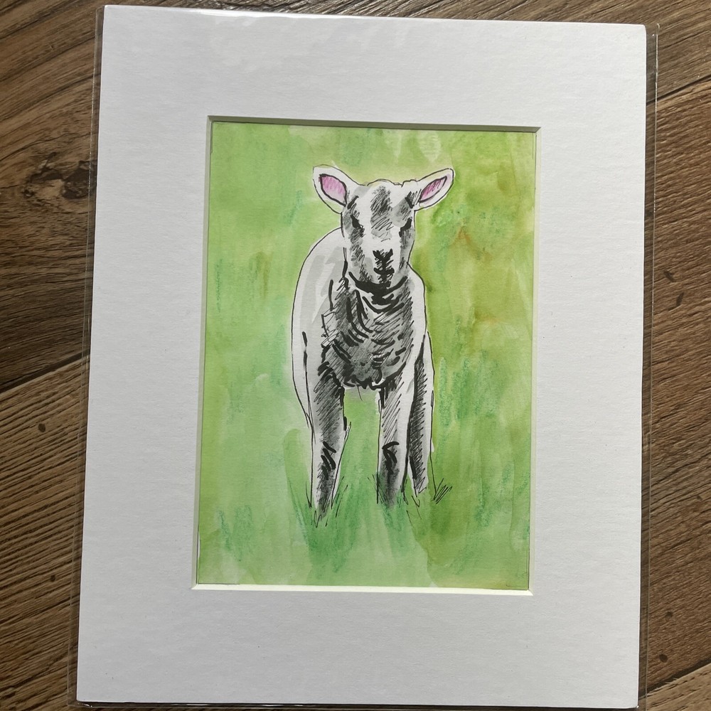 Original Sheep And Lamb Mounted Drawings X 3