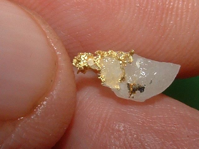 GOLD MATRIX SPECIMEN .47 GRAM CALIFORNIA GOLD IN QUARTZ