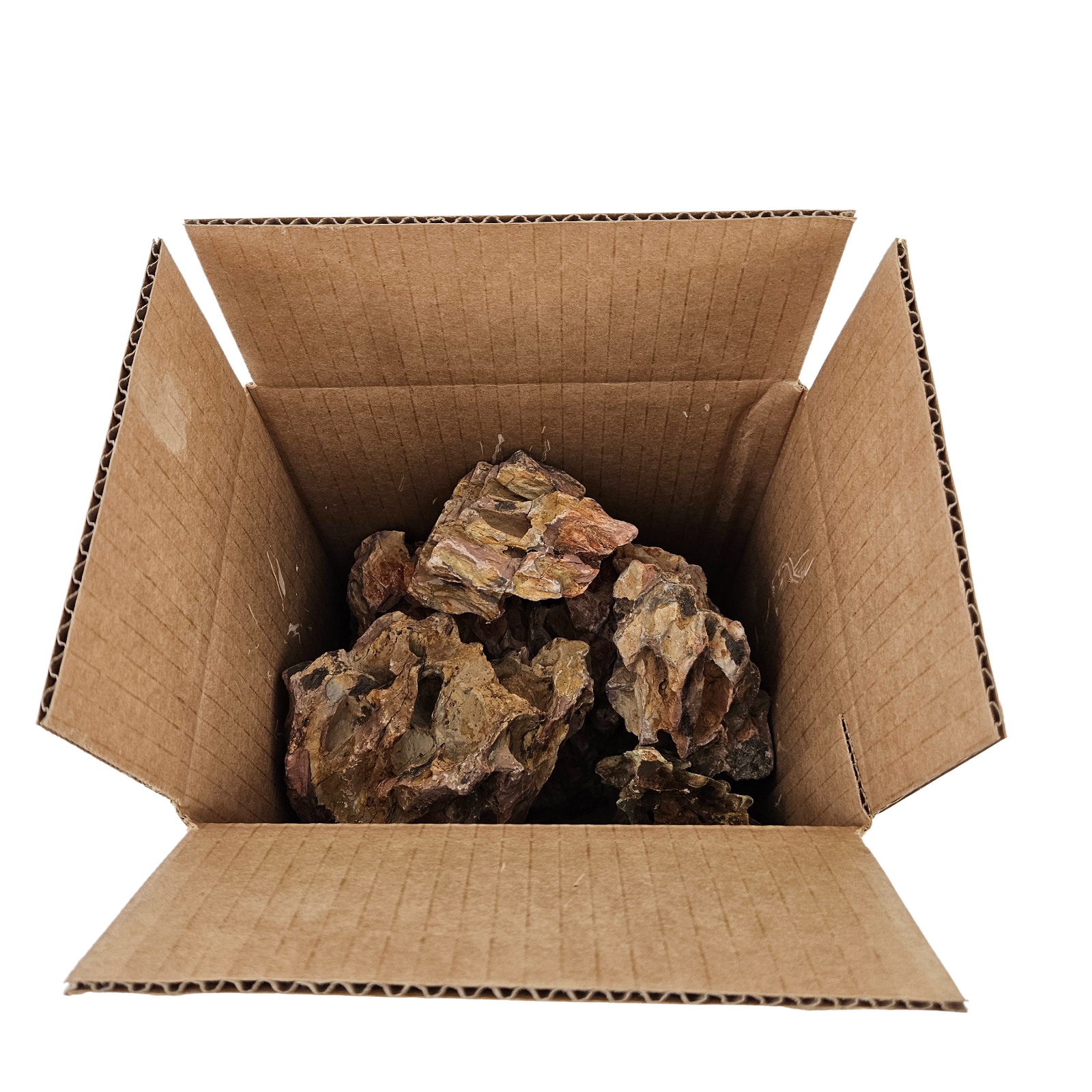 Dragon Stone (Ohko Stone) / Planted Aquarium / Decoration / Hardscape 10 Lbs Box