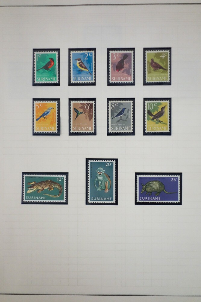 Netherlands Lovely Clean Stamp Collection